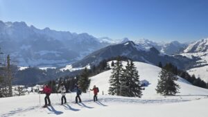 Personal and professional development