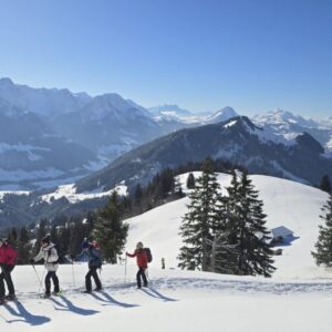 Personal and professional development