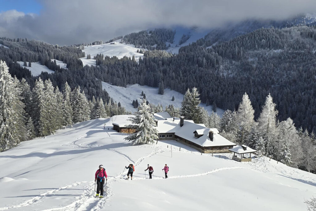 Group-Snow-Shoeing-at-les-Paccots-1