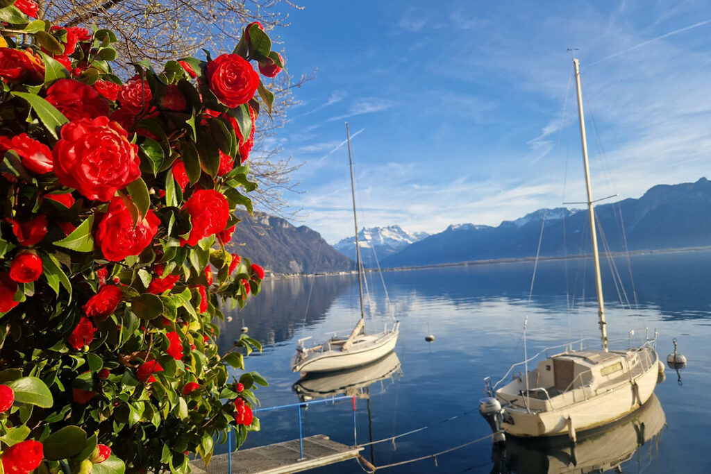 full-riviera-experience-6