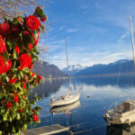 Montreux Riviera Tours - full riviera experience