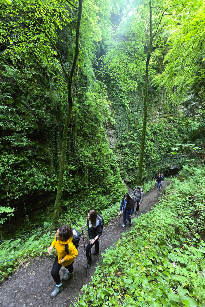 mountain-reset-day-2