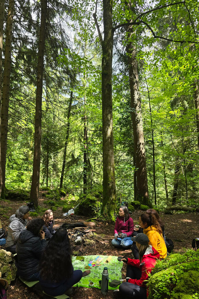 mountain-reset-day-5