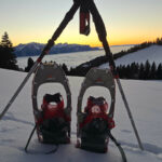 Montreux Riviera Tours - snowshoeing