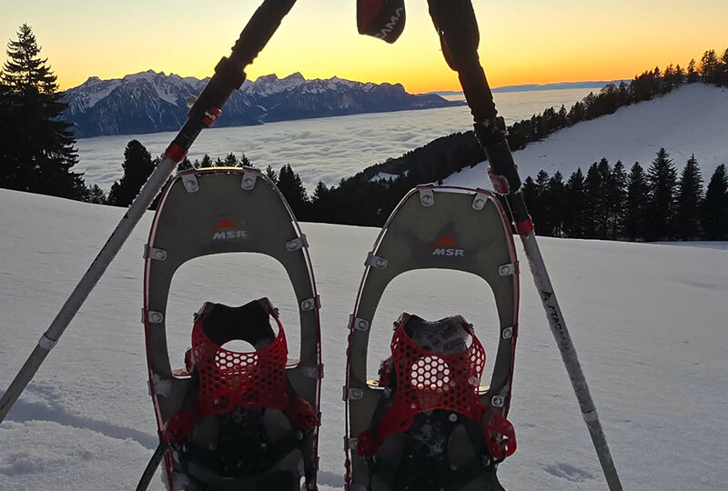 Montreux Riviera Tours - snowshoeing